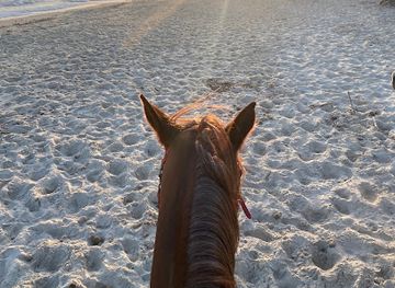 tunisia/hammamet/attraction/club-equus-hammamet