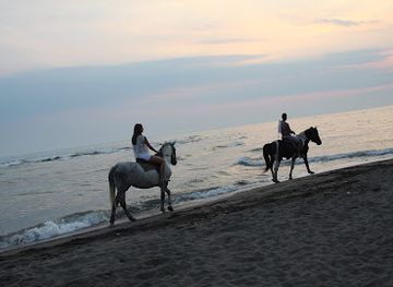 montenegro/ada-bojana/attraction/ada-bojana-horses