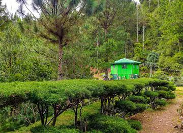 HIDDEN GARDEN