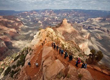 arizona/grand-canyon-village/attraction/grand-canyon-conservancy-field-institute