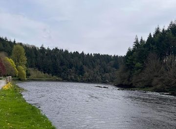 ireland/county-carlow/attraction/barrow-way-trailhead