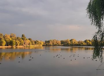 romania/ilfov/attraction/parcul-plumbuita