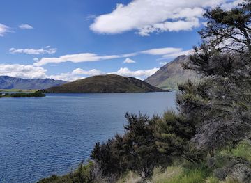 new-zealand/mount-aspiring-national-park/attraction/the-trees