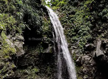 Falls Of Baleine