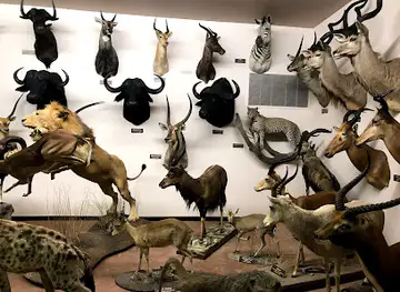 Nelson Museum of the West