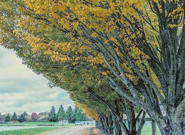 washington/the-skagit-valley/attraction/bakerview-park