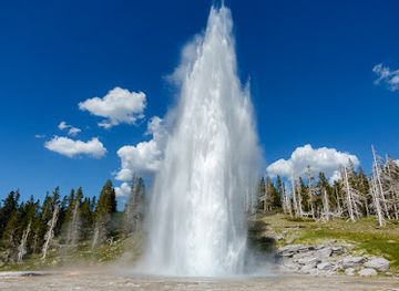 wyoming/park-county/attraction/grand-geyser