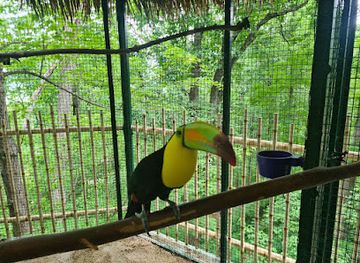 north-carolina/great-smoky-mountains/attraction/parrot-mountain-sign