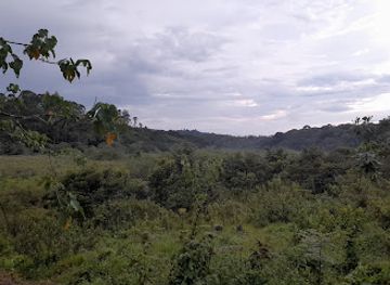 uganda/bwindi-impenetrable-national-park/attraction/ngoto-island-tourism-hub-bwindi