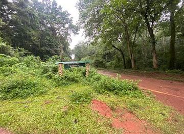 uganda/kampala/attraction/mabamba-shoebills-watching