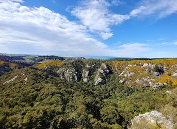 new-zealand/otago/attraction/trotters-gorge-scenic-reserve