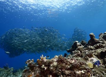 curacao/westpunt/attraction/statue-of-neptune