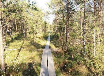 finland/paijat-hame/attraction/linnaistensuo-nature-trail