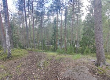 finland/savonlinna/attraction/soininmaki-nature-trail