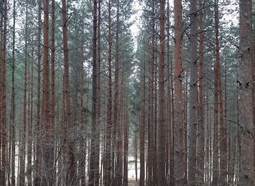 slovakia/trencin-region/attraction/studnicka-rybna