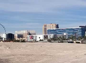 nevada/las-vegas/attraction/paradox-experience-las-vegas