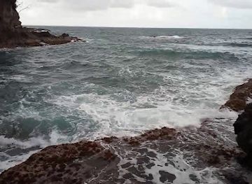 dominica/indian-river/attraction/thibaud-bat-cave