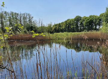 netherlands/hoge-veluwe-national-park/attraction/ginkel-heath