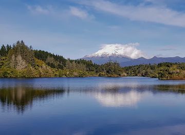 new-zealand/new-plymouth/attraction/the-wind-wand
