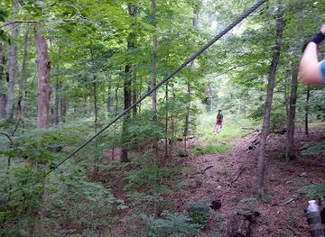 indiana/central-indiana/attraction/squire-boone-caverns-zipline-adventures