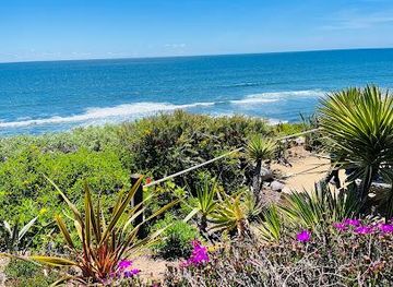 california/coronado/attraction/self-realization-fellowship-meditation-gardens