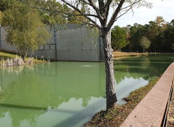 louisiana/north-louisiana/attraction/chimp-haven-inc