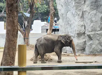 Manila Zoo