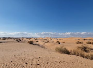 jordan/dana-village/attraction/dunes-of-wadi-araba