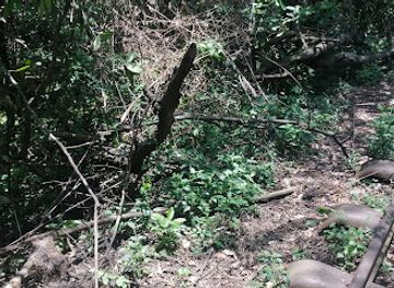 kenya/kisumu/attraction/sundown-point