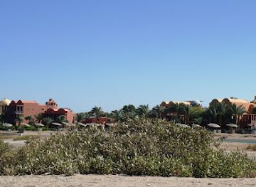egypt/el-gouna/attraction/mangroovy-natural-protectory