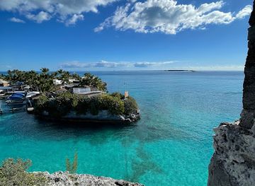 the-bahamas/new-providence/attraction/dolphin-encounters