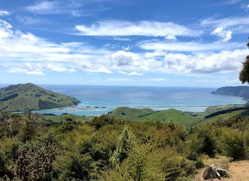 new-zealand/tasman/attraction/cable-bay-adventure-park