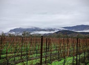 california/napa/attraction/materra-cunat-family-vineyards