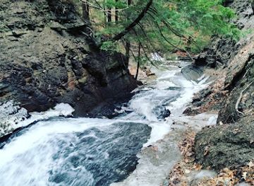 new-york/finger-lakes/attraction/conklin-s-gully