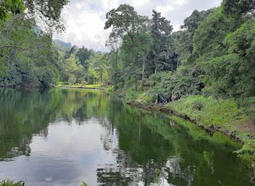 india/arunachal-pradesh/attraction/sally-lake-fooding-lodging-roing