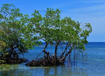 honduras/cayos-cochinos/attraction/cayo-redondo