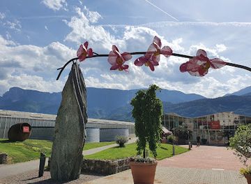 italy/val-venosta/attraction/raffeiner-theme-park