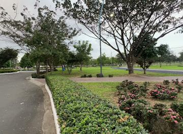 ecuador/guayas-region/attraction/samanes-park