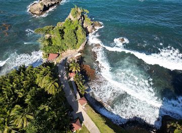 dominica/indian-river/attraction/au-parc