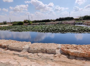 israel/negev/attraction/river-park-beer-sheva