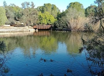 cyprus/limassol-district/attraction/athalassa-national-forest-park