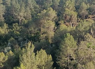 spain/catalonia-pyrenees/attraction/riera-de-carme-municipi-d-orpi