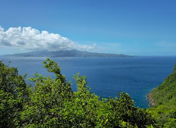 saint-vincent-and-the-grenadines/saint-andrew/attraction/spring-view-park