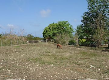 barbados/east-coast/attraction/the-paradise-nature-park