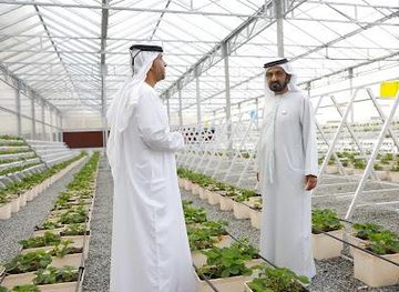 united-arab-emirates/fujairah/attraction/hatta-concept-farm