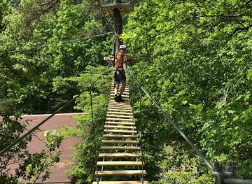 alabama/desoto-state-park/attraction/screaming-eagle-aerial-adventures-at-desoto-falls-state-park