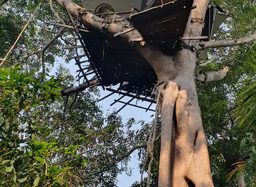 Gibbon Experience, Honeymoon Treehouse