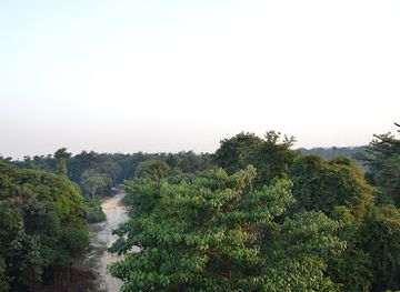 indonesia/riau/attraction/tesso-nilo-national-park