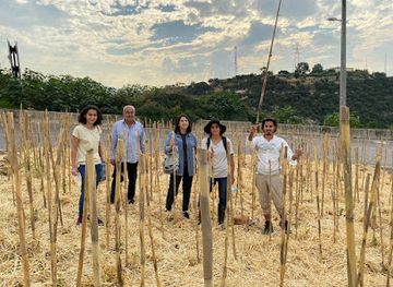 lebanon/keserwan-district/attraction/power-plant-forest