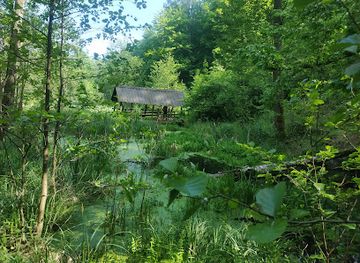 poland/bory-tucholskie/attraction/most-milosci